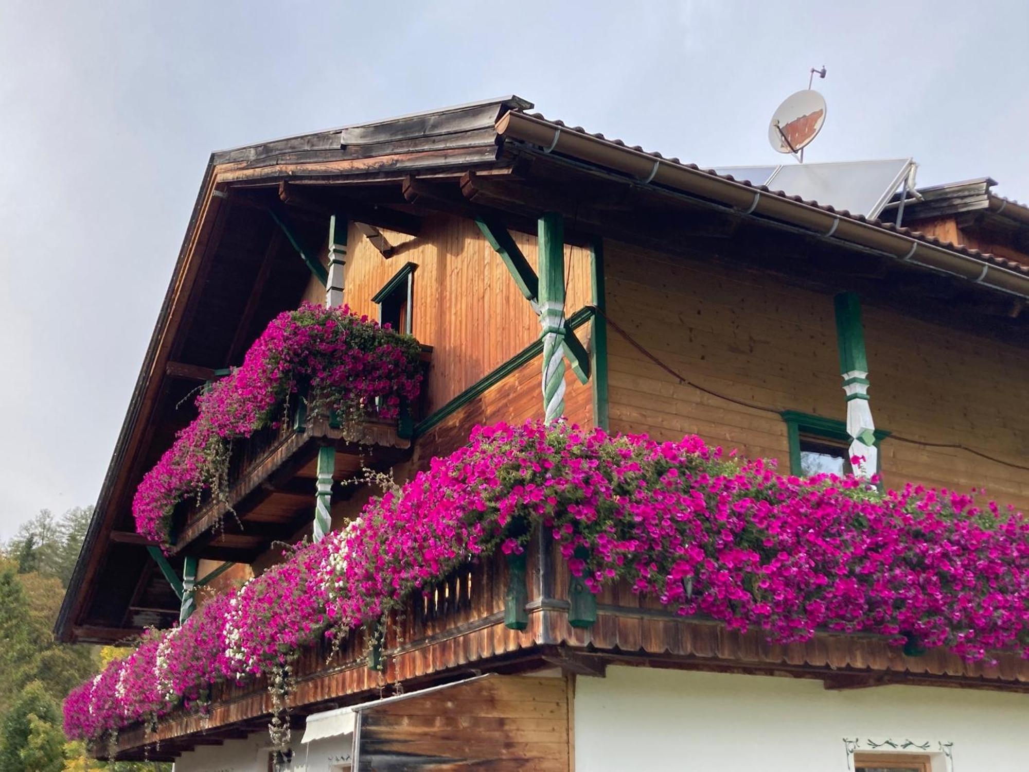 Apartment Oefnerhof