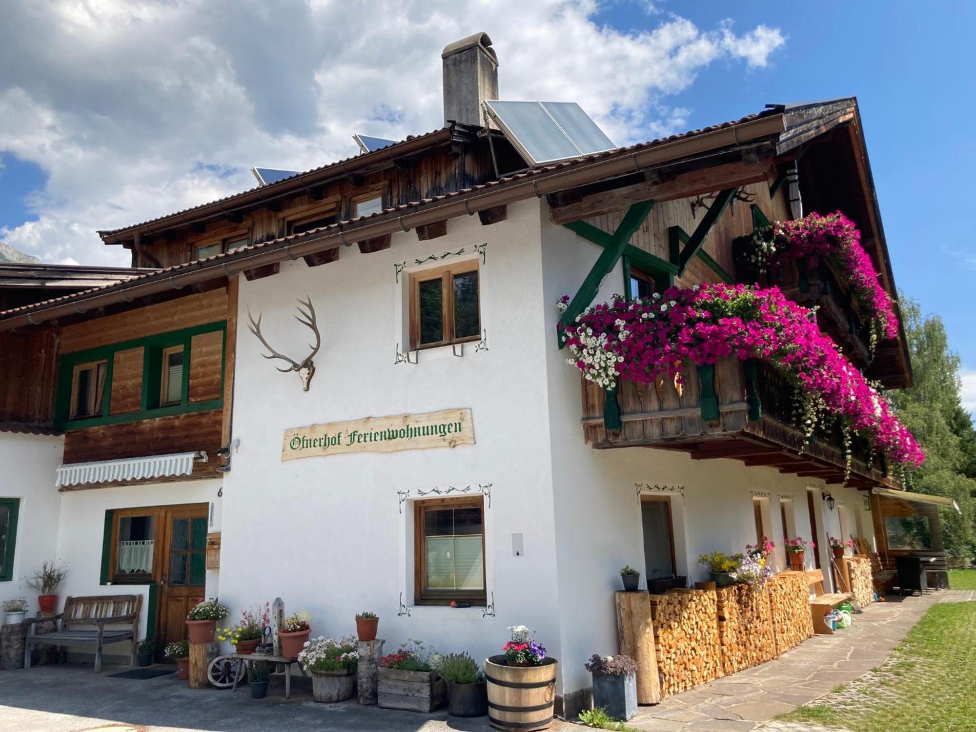 Oefnerhof Apartment *